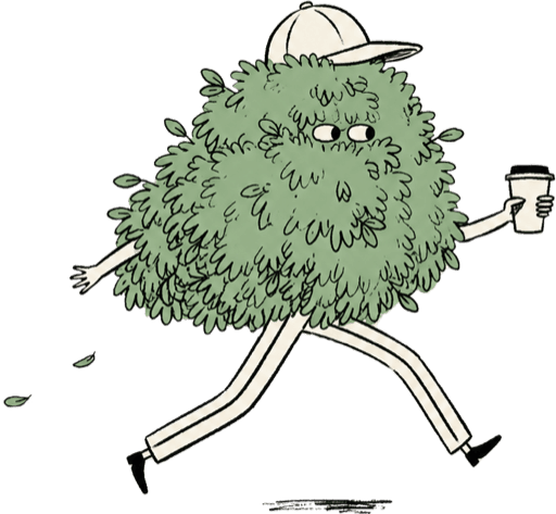 The Barista Gigs mascot — a leafy bush in a cap, running with a coffee